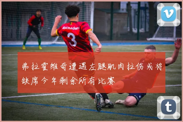 弗拉霍维奇遭遇左腿肌肉拉伤或将缺席今年剩余所有比赛