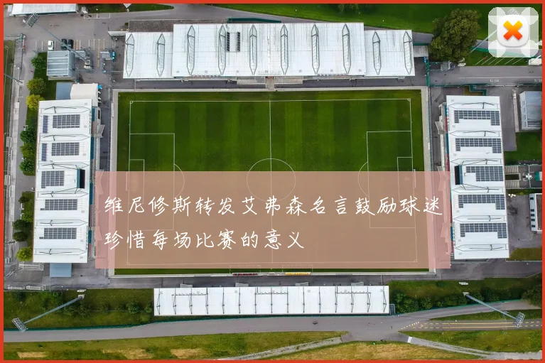 维尼修斯转发艾弗森名言鼓励球迷珍惜每场比赛的意义