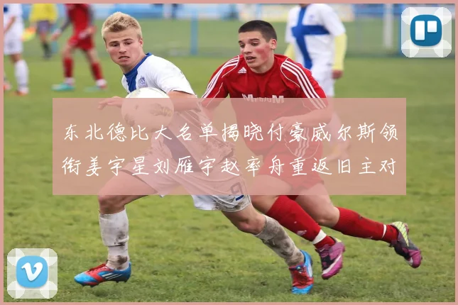 东北德比大名单揭晓付豪威尔斯领衔姜宇星刘雁宇赵率舟重返旧主对决