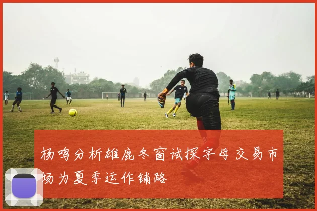 杨鸣分析雄鹿冬窗试探字母交易市场为夏季运作铺路