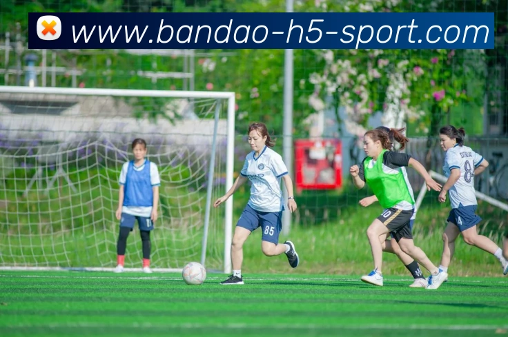 半岛体育品牌故事